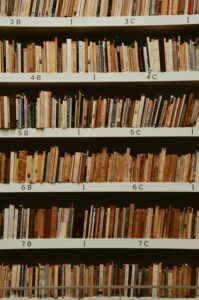 Netsuite Multi Book Accounting
