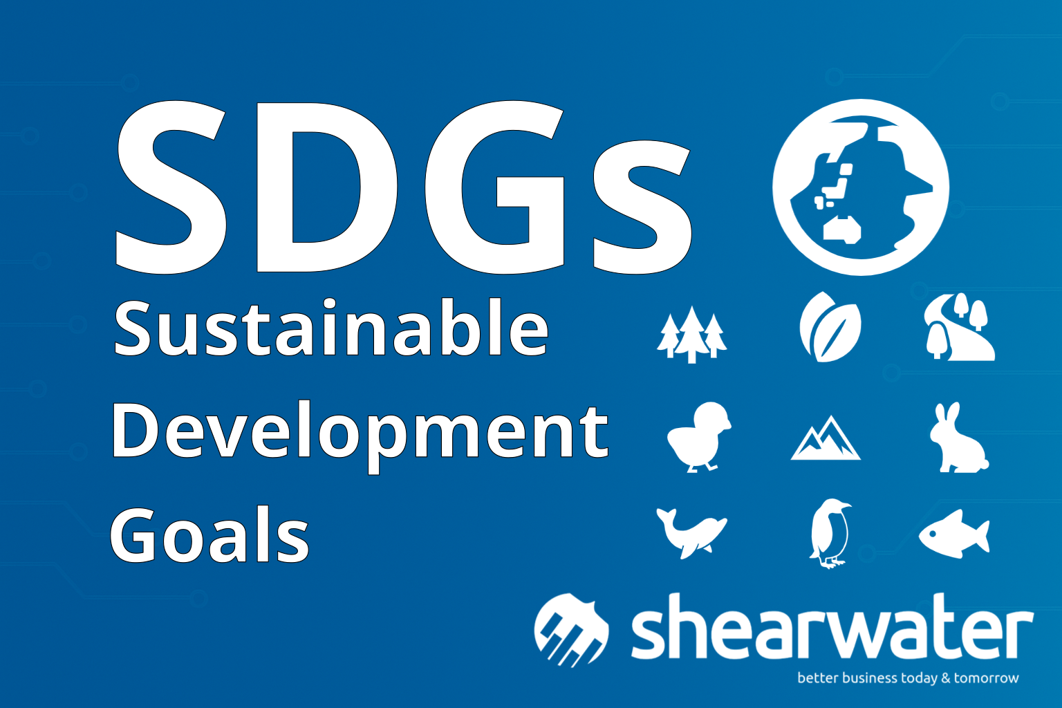 SDGs