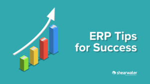 ERP Tips for Success