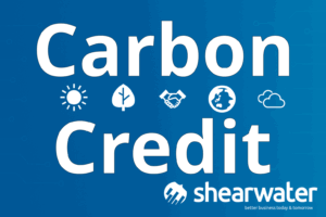 Carbon Credit