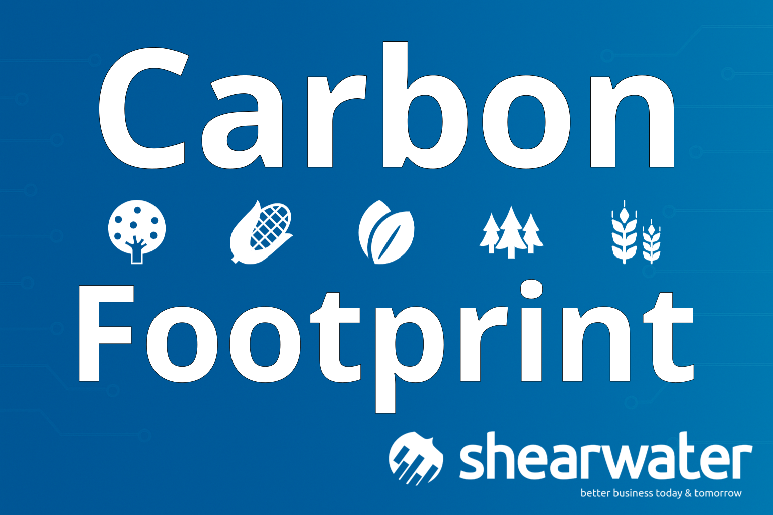 Carbon Footprint